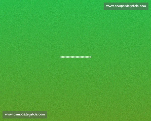 二年级拔河比赛精彩纷呈，同学们齐心协力展现团结精神