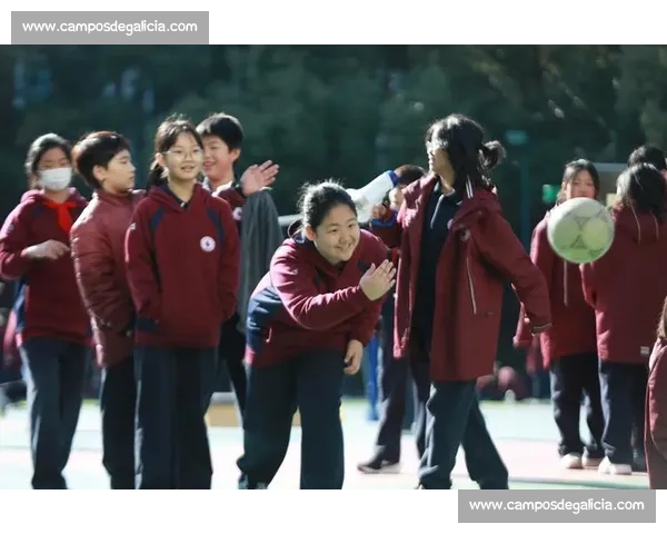 冯振在武术比赛中展现惊人实力助力中国队摘金荣耀