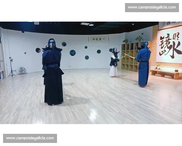 剑道比赛规则详解与技巧运用探讨